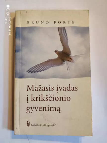 Mažasis įvadas į krikščionio gyvenimą - Bruno Forte, knyga