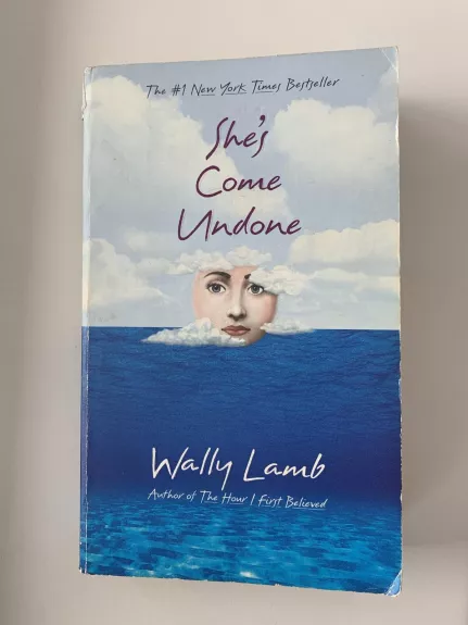 She's Come Undone - Wally Lamb, knyga 1