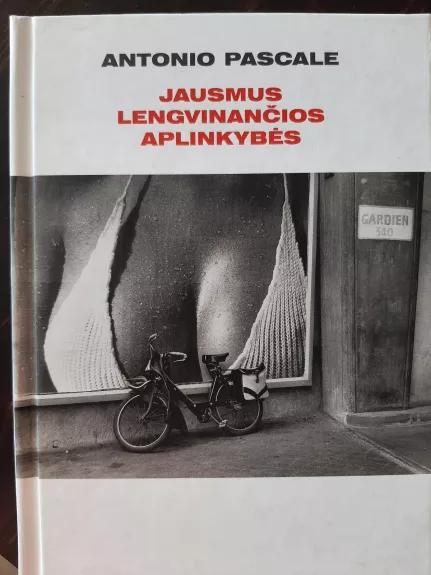 Jausmus lengvinančios aplinkybės - Antonio Pascale, knyga