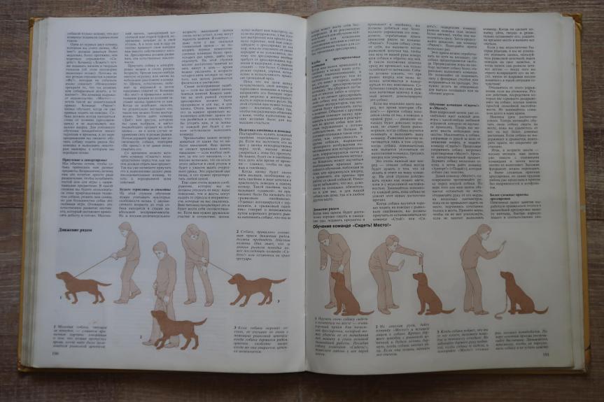 ВАША СОБАКА - ДЖОАН ПАЛМЕР, knyga 1