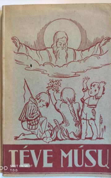 Tėve mūsų - K. Žitkus, knyga