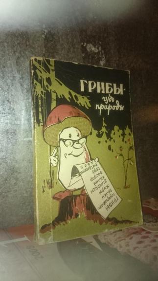 Грибы - чудо природы