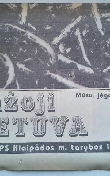Mažoji Lietuva 1989 Nr. 5
