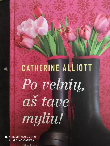 Po velnių, aš tave myliu! - Catherine Alliott, knyga