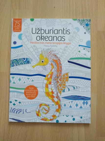 Užburiantis okeanas.Meditacinės meno terapijos knyga