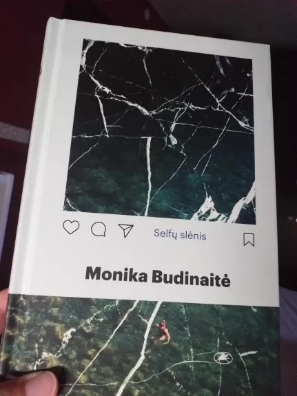 Selfų slėnis - Monika Budinaitė, knyga