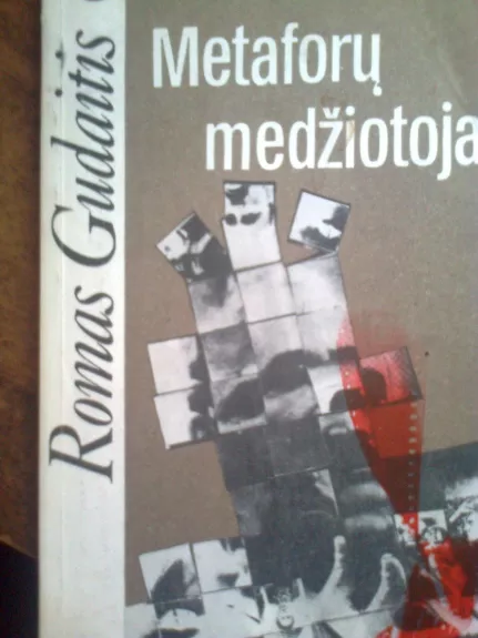 Metaforų medžiotojai - Romas Gudaitis, knyga