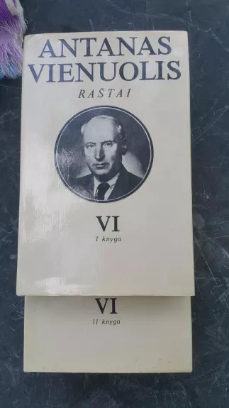 Antanas Vienuolis Raštai VI (1 knyga)