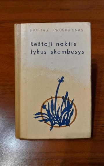 Šeštoji naktis. Tykus skambesys