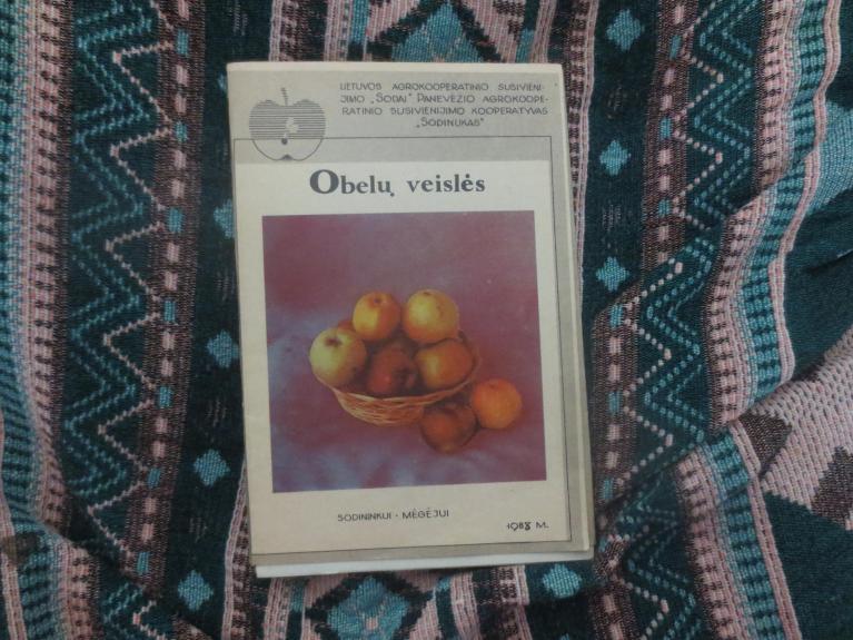 Obelų veislės