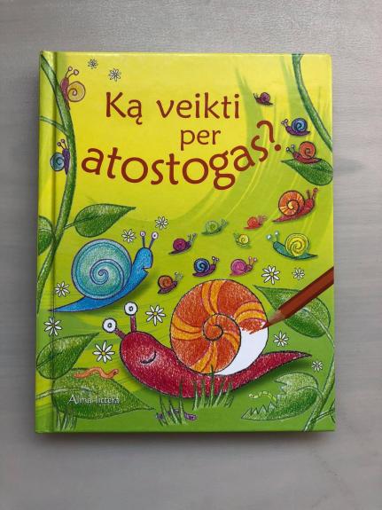Ką veikti per atostogas? - Ray Gibson, knyga