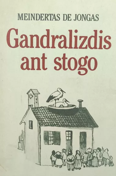 Gandralizdis ant stogo - Meindertas De Jongas, knyga
