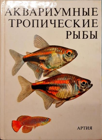 Аквариумные тропические рыбы