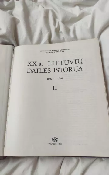 XX a. lietuvių dailės istorija 1900-1940 (II tomas)