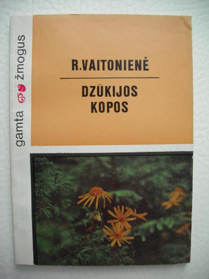 Dzūkijos kopos
