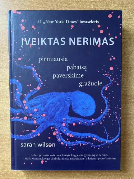 Įveiktas nerimas: pirmiausia pabaisą paverskime gražuole - Sarah Wilson, knyga