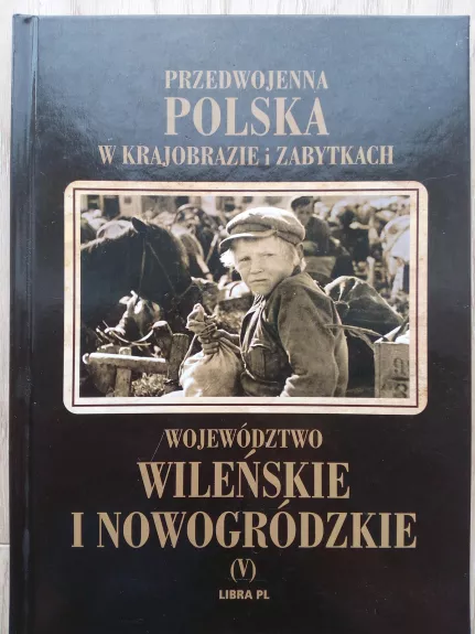 Województwo Wileńskie i Nowogródykie