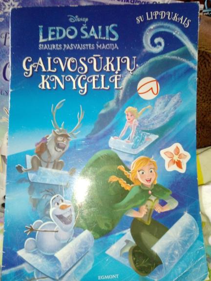 Ledo šalis galvosūkių knygelė