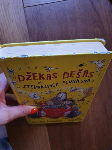 Džekas Dešas ir stebuklinga plunksna