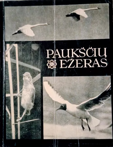 Paukščių ežeras - Vytautas Nedzinskas, knyga
