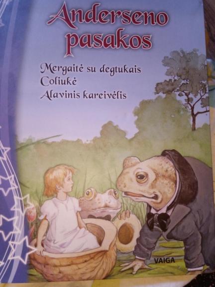 Anderseno pasakos - H. K. Andersenas, knyga