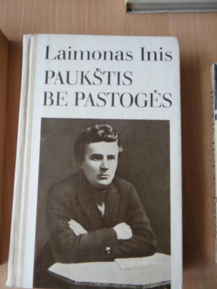 Paukštis be pastogės