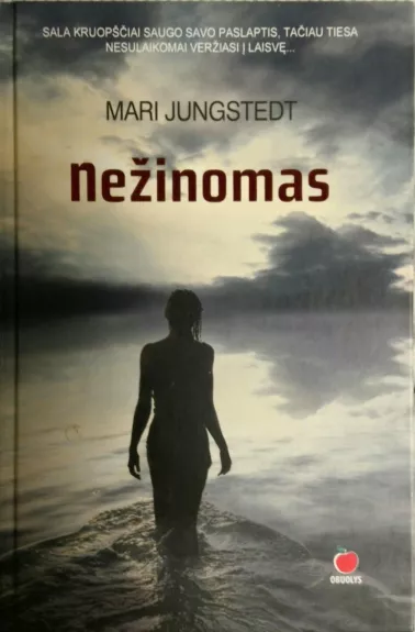 Nežinomas - Mari Jungstedt, knyga