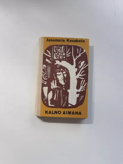 Kalno aimana - Jasunaris Kavabata, knyga