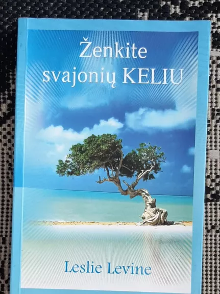 Ženkite svajonių keliu - Leslie Levine, knyga