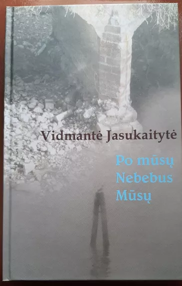 Po mūsų nebebus mūsų - Vidmantė Jasukaitytė, knyga