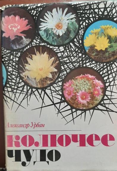 Колючее чудо