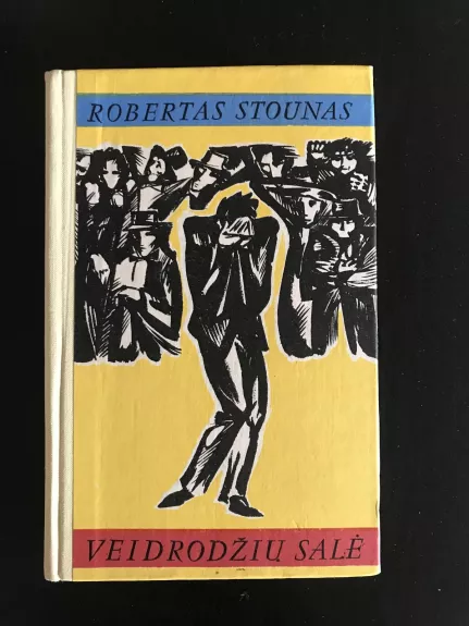 Veidrodžių salė - Robertas Stounas, knyga