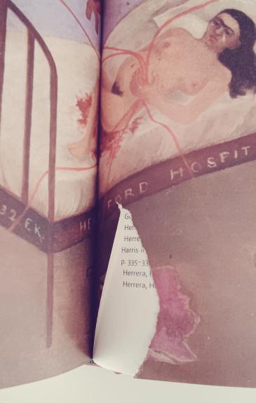 Frida. Fridos Kahlo biografija - Hayden Herrera, knyga 1