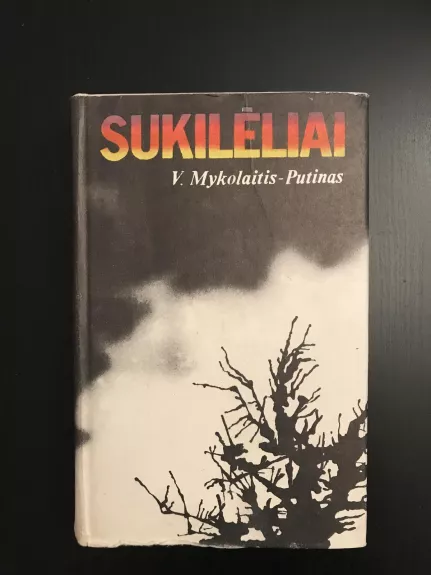 Sukilėliai - Vincas Mykolaitis-Putinas, knyga