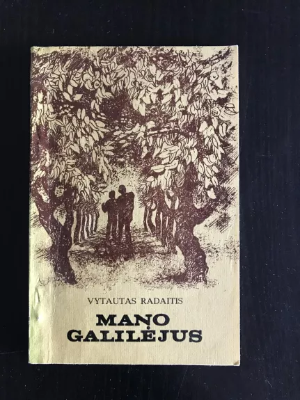 Mano galilėjus - Vytautas Radaitis, knyga