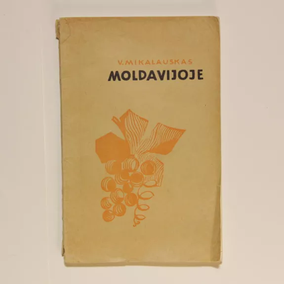 Moldavijoje - V. Mikalauskas, knyga