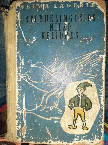 Stebuklingosios Nilso kelionės