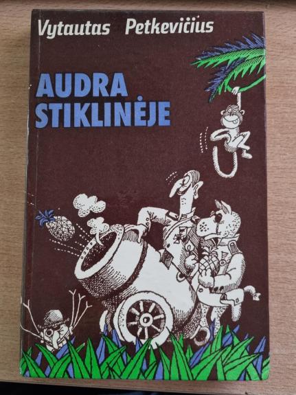Audra stiklinėje - Vytautas Petkevičius, knyga