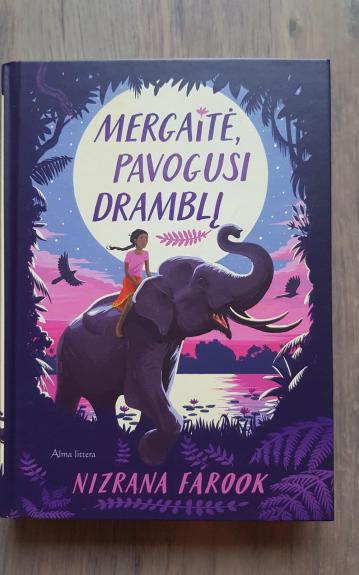 Mergaitė pavogusi dramblį - Autorių Kolektyvas, knyga