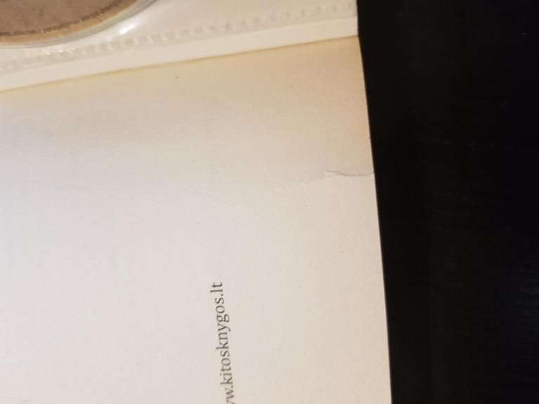 Dzen dzen - Ramūnas Jaras, knyga 1