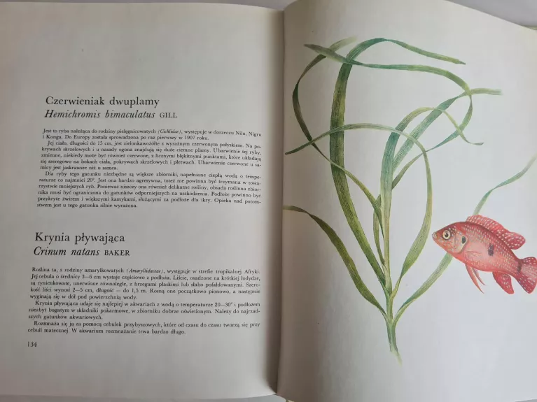 Ryby i rośliny akwariowe - Karel Rataj, knyga 1