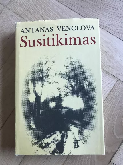 Susitikimas - Antanas Venclova, knyga