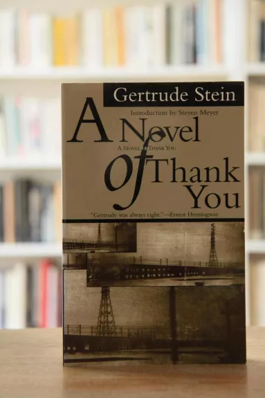 A Novel of Thank You - Gertrude Stein, knyga