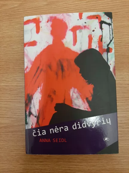 Čia nėra didvyrių - Anna Seidl, knyga