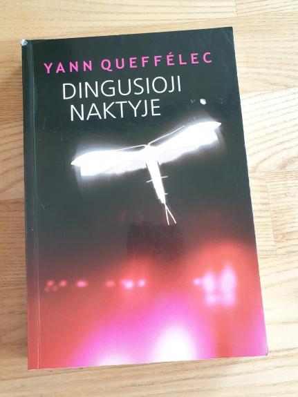 Dingusioji naktyje