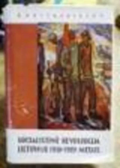 Socialistinė revoliucija Lietuvoje 1918 - 1919 metais - B. Vaitkevičius, knyga