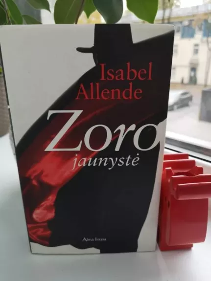 Zoro jaunystė - Isabel Allende, knyga