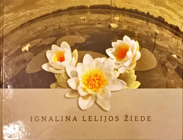 Ignalina lelijos žiede