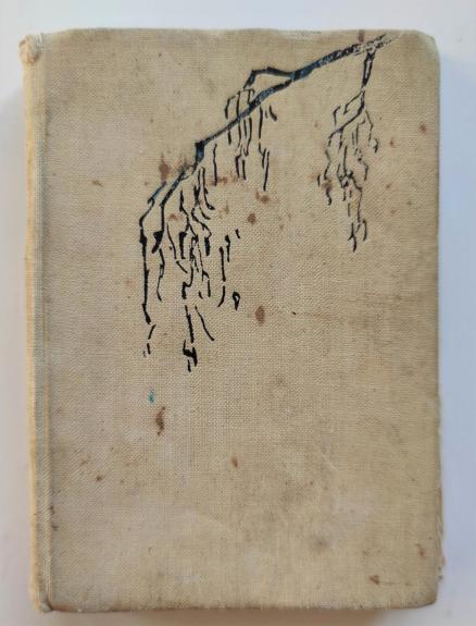 Neliūdėk, berželi