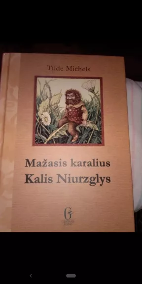 Mažasis karalius Kalis Niurzglys - Tilde Michels, knyga